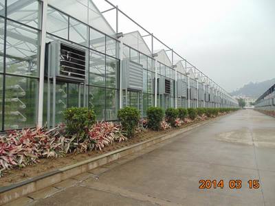 福州福建水稻工廠化機(jī)插育秧溫室:想建福建水稻工廠化機(jī)插育秧溫室就到黑土農(nóng)科,廈門市黑土農(nóng)業(yè)科技產(chǎn)品展示-中華嬰童網(wǎng),中國孕嬰童行業(yè)電子商務(wù)首選平臺