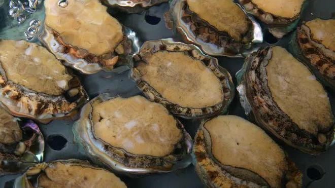 【品牌展播】中國地理標(biāo)志農(nóng)產(chǎn)品品牌展播(福建福州篇-下)