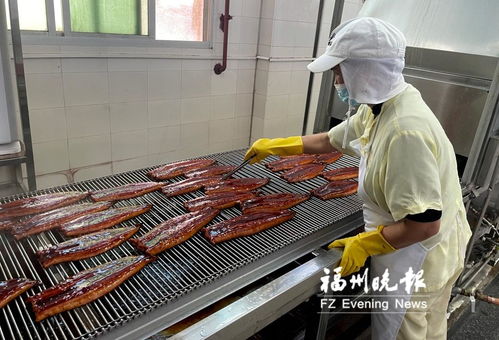 長(zhǎng)樂(lè)全力打造“海上糧倉(cāng)” 研發(fā)水產(chǎn)品預(yù)制菜，提升福州海蚌產(chǎn)業(yè)影響力